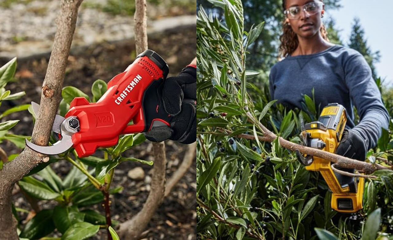 Cut Above the Rest: Top Cordless Pruning Shears Reviewed