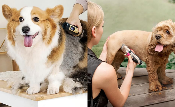 Woof-Worthy Grooming: 2025’s Best Dog Clippers for All Breeds